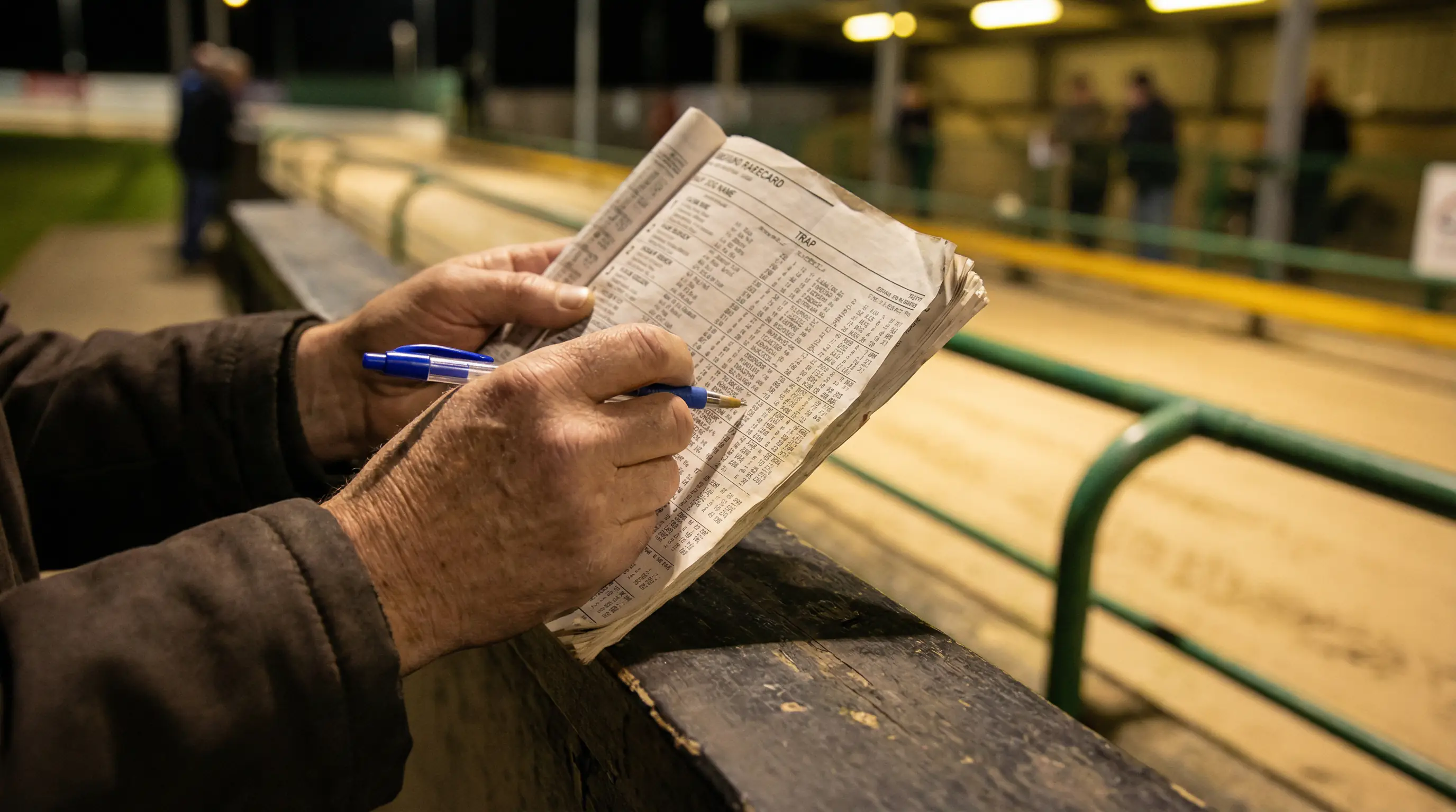 A punter studying a printed greyhound racecard with form figures and trap draw information at a UK track