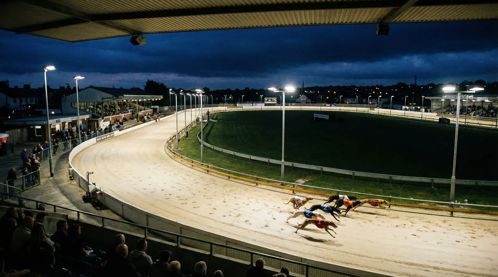 Greyhound racing distances compared across sprint standard staying and marathon trips